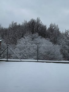 Děti ze školky si užily sníh