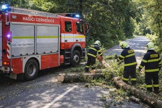 Hasiči odstranili spadlý strom pod hřbitovem